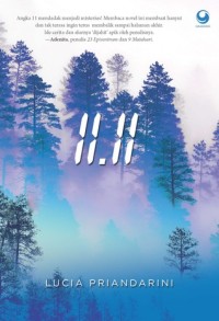 Image of 11.11