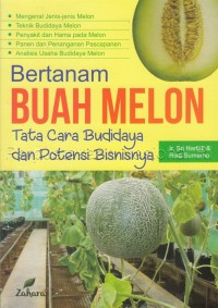 BERTANAM BUAH MELON: TATA CARA BUDIDAYA DAN POTENSI BISNISNYA