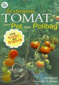 Bertanam Tomat dalam Pot dan Polibag
