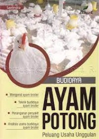 Budidaya Ayam Potong, Peluang Usaha Unggulan